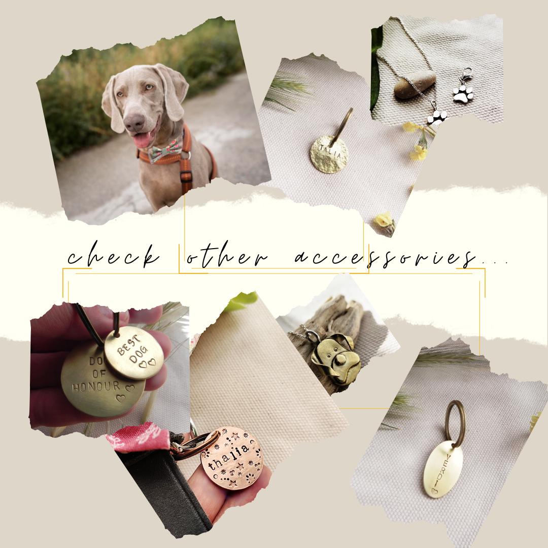 25mm Hammered Brass Round Pet Tag / Personalized ID / Key-ring Charm