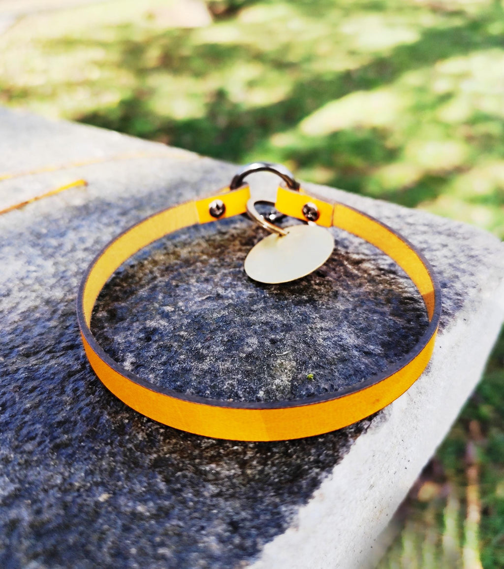 Handmade Leather Dog Tag Collar – Natural Leather Pet ID Collar