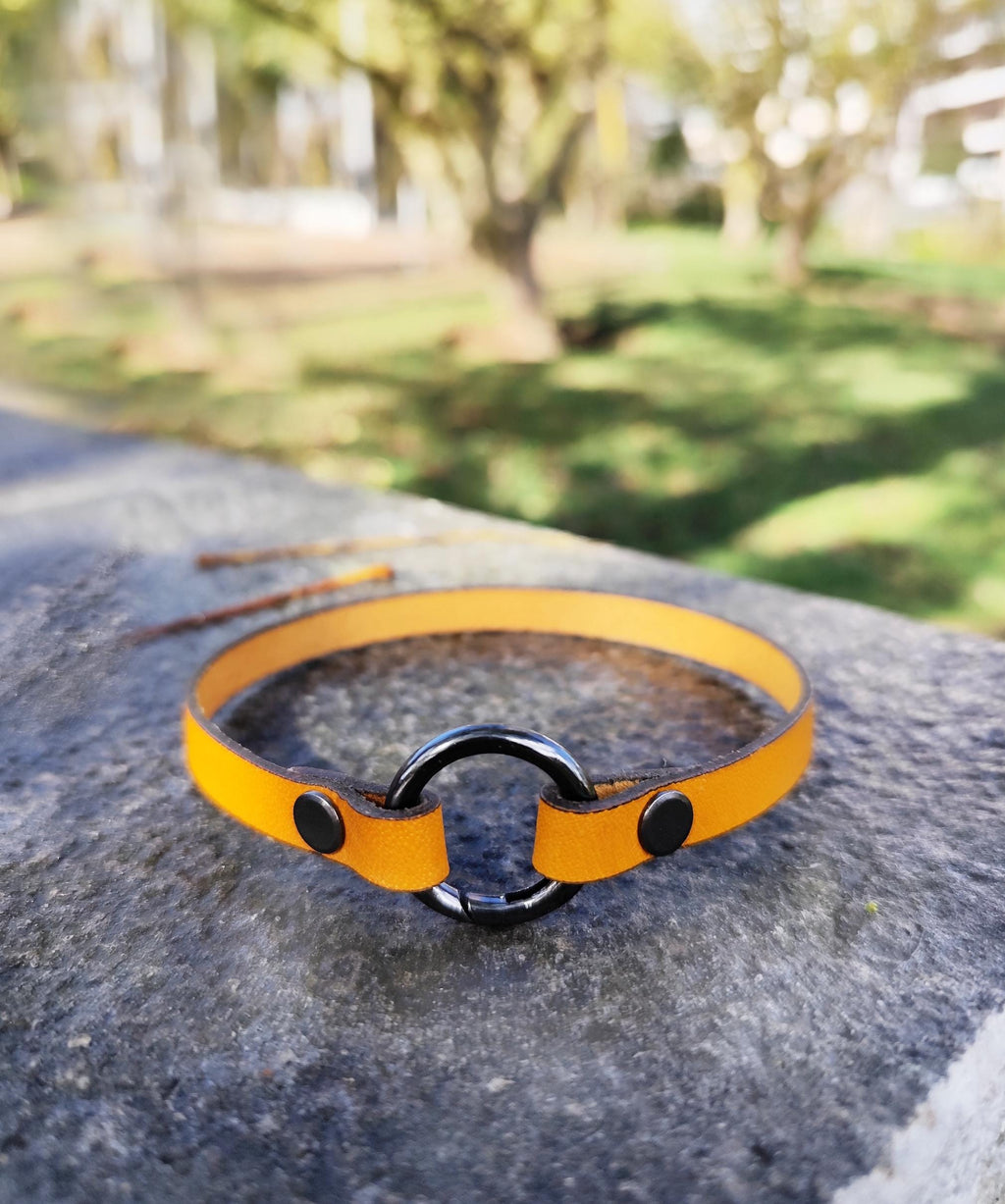 Handmade Leather Dog Tag Collar – Natural Leather Pet ID Collar